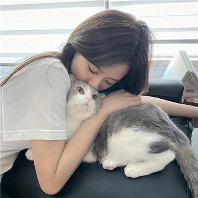 安恰丽